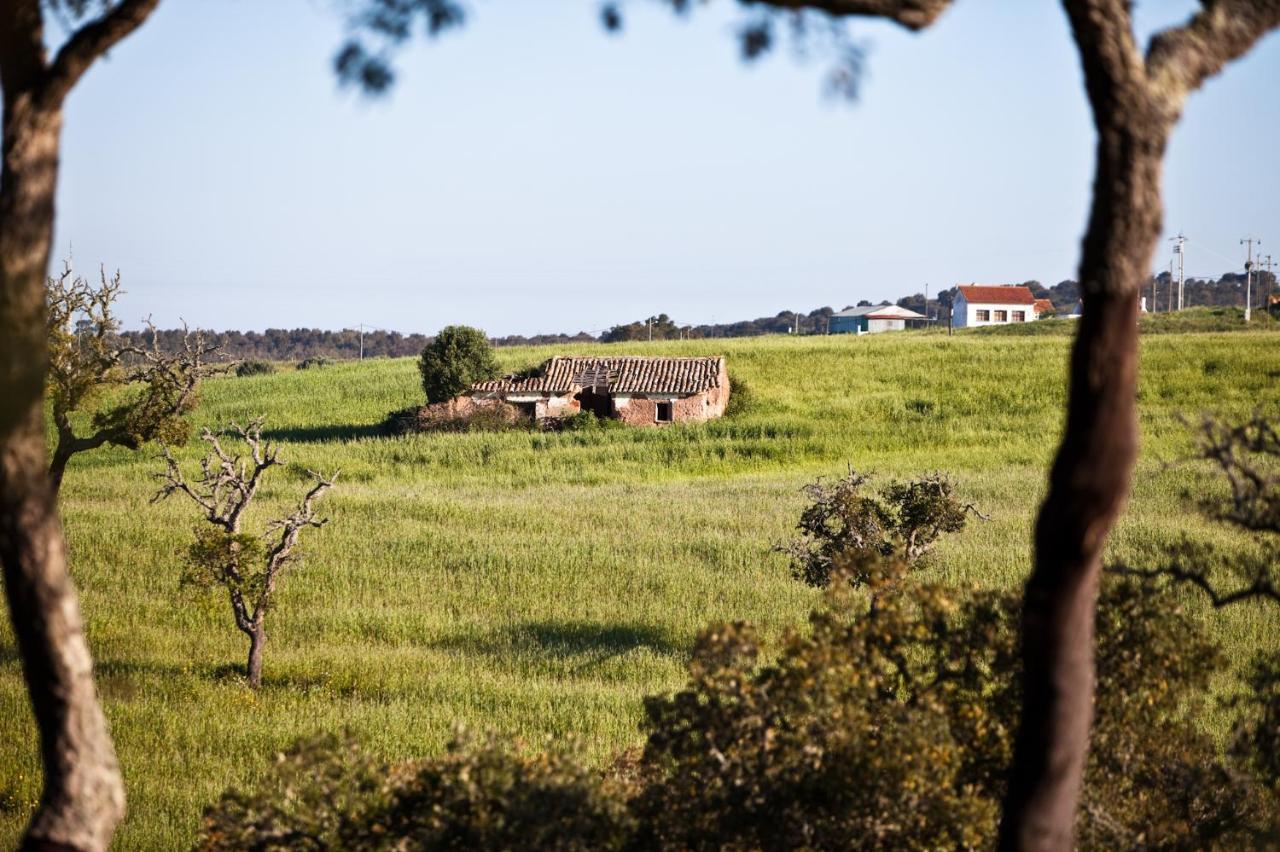 Eco Glamping Portugal Nature Lodge サン・ルイス エクステリア 写真