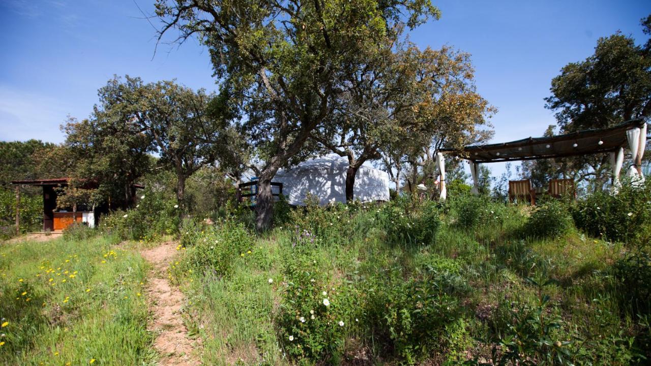 Eco Glamping Portugal Nature Lodge サン・ルイス エクステリア 写真