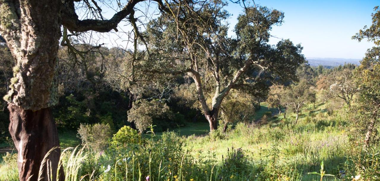 Eco Glamping Portugal Nature Lodge サン・ルイス エクステリア 写真