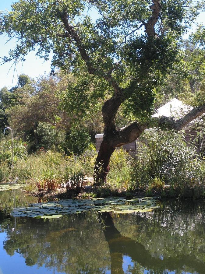 Eco Glamping Portugal Nature Lodge サン・ルイス エクステリア 写真
