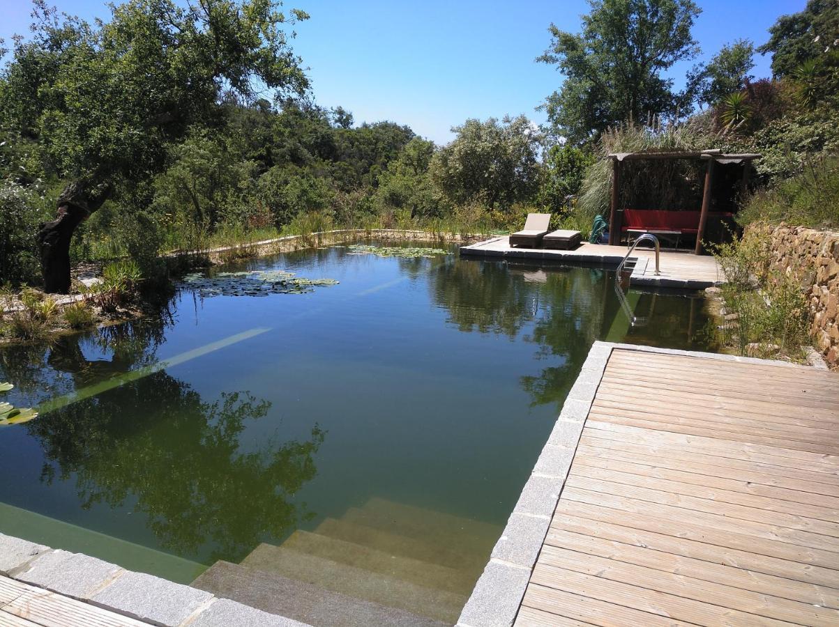 Eco Glamping Portugal Nature Lodge サン・ルイス エクステリア 写真