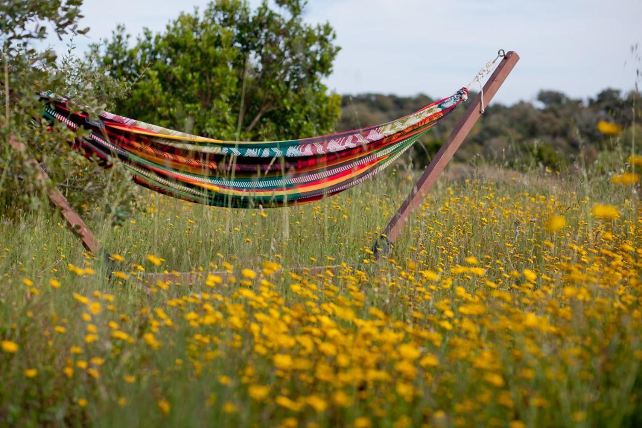 Eco Glamping Portugal Nature Lodge サン・ルイス エクステリア 写真