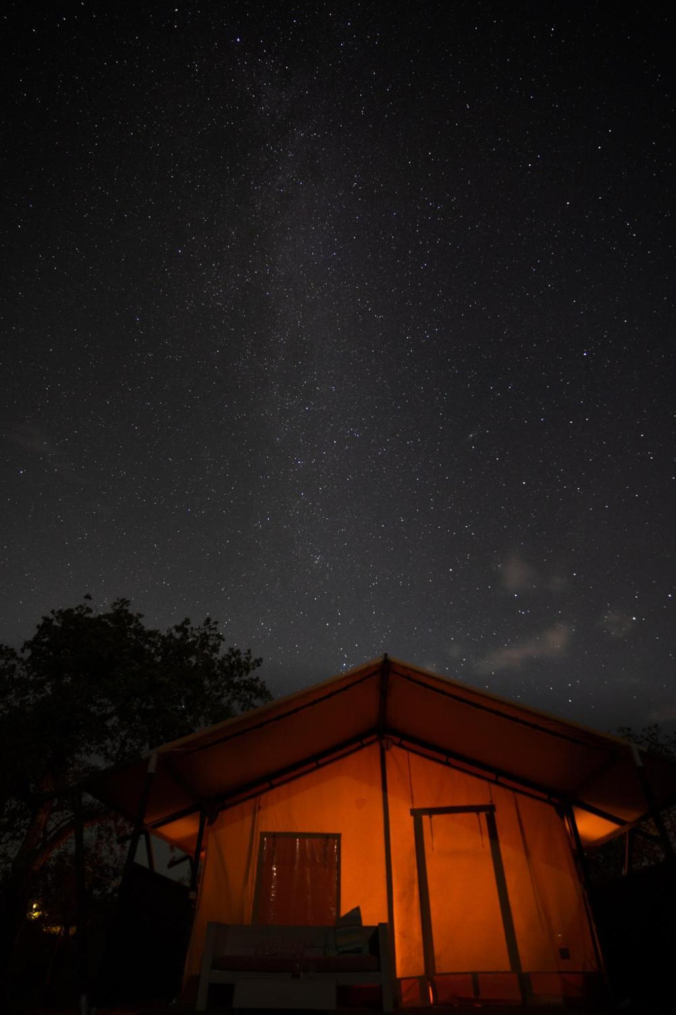 Eco Glamping Portugal Nature Lodge サン・ルイス エクステリア 写真
