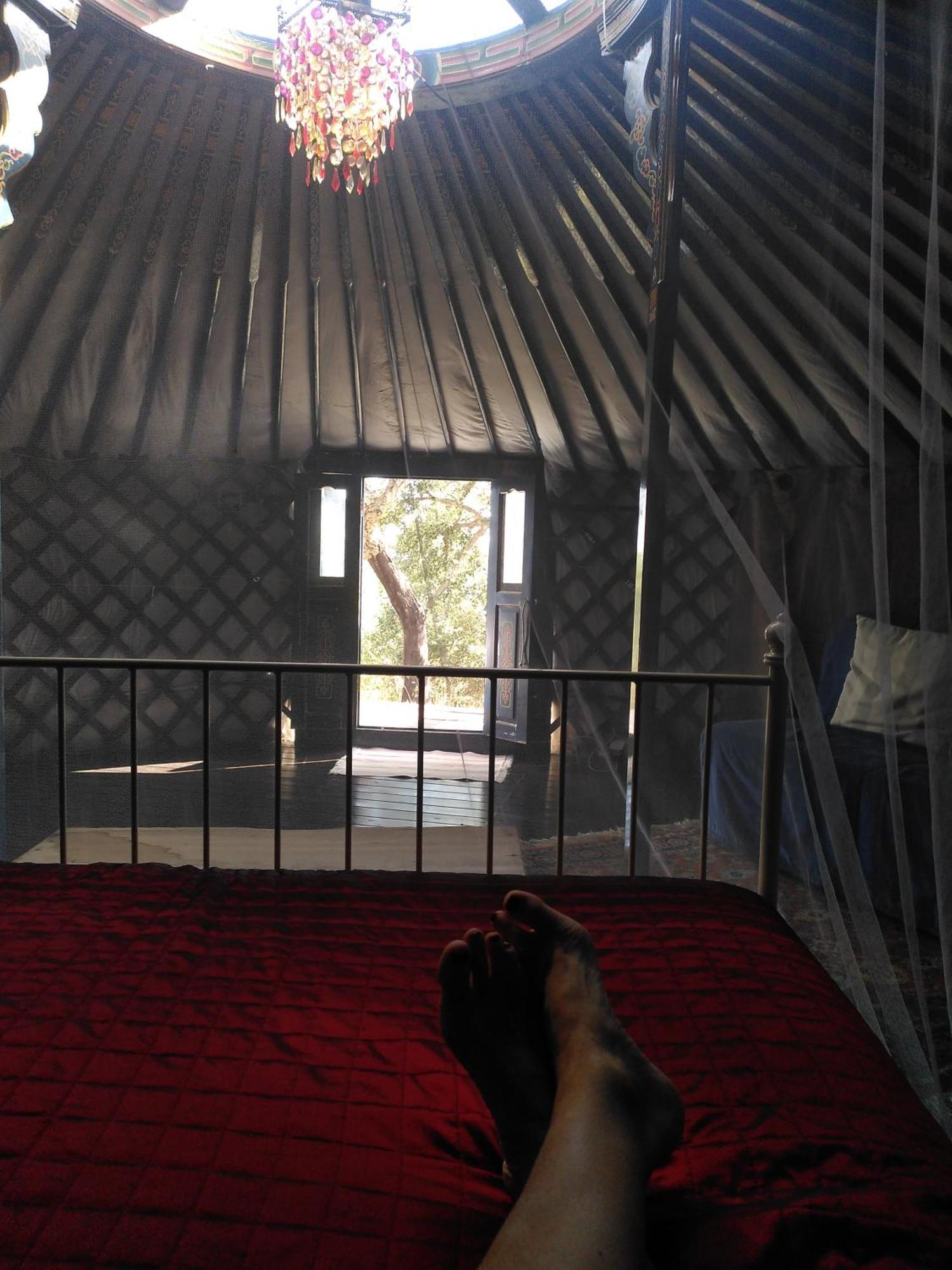 Eco Glamping Portugal Nature Lodge サン・ルイス エクステリア 写真