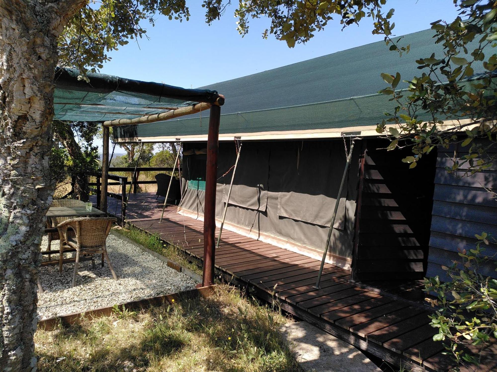 Eco Glamping Portugal Nature Lodge サン・ルイス エクステリア 写真